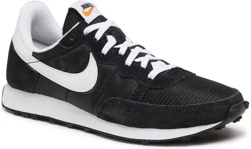 Pantofi Nike (10302541)