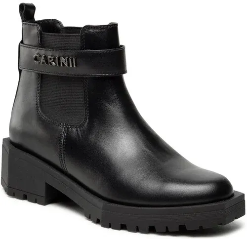 Botine Carinii (15116586)