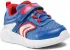 Sneakers Geox (15117541)