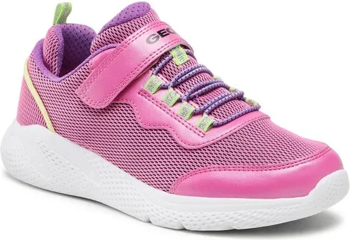 Sneakers Geox (15653794)