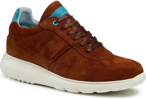 Sneakers QUAZI (12671501)