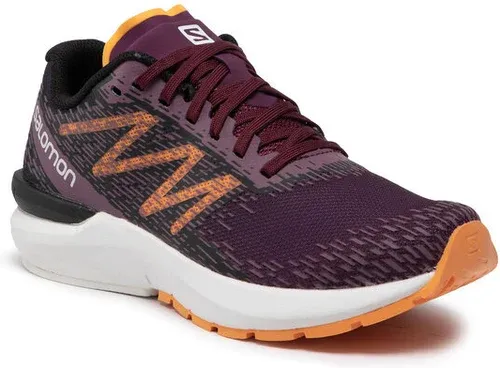 Pantofi Salomon (17468401)