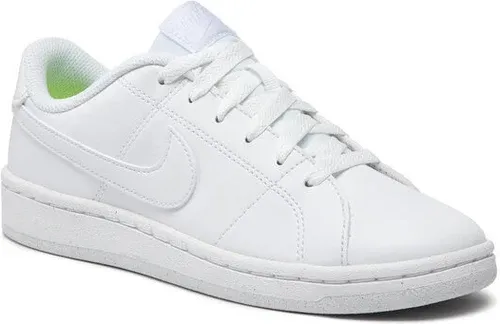 Pantofi Nike (17484259)